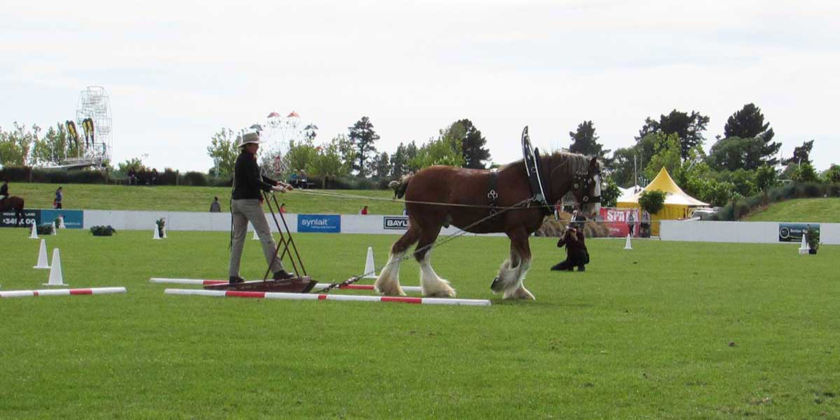 Canterbury A&P Show 2016