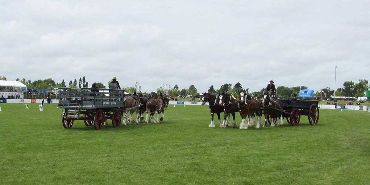 Canterbury A&P Show 2016