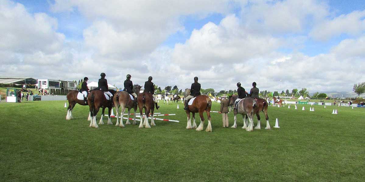 Canterbury A&P Show 2016